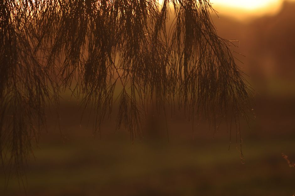 A Gentler Way to Approach Habits: How They Actually Form, for Real Life