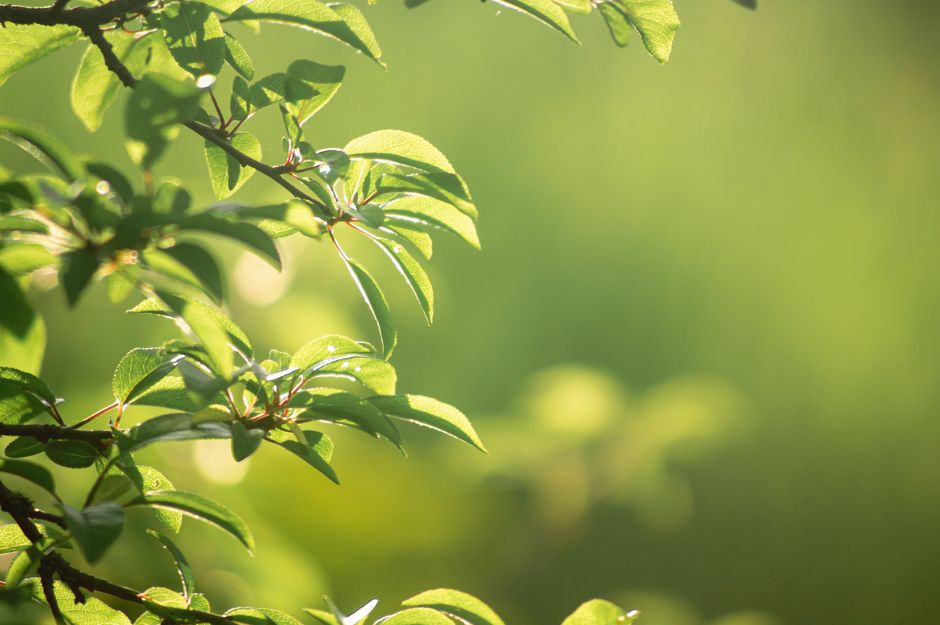 A Kinder Approach to Blood Pressure, Quietly, Step by Step