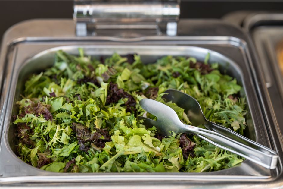A Sensible Look at Probiotics In Plain Language, Made Simple