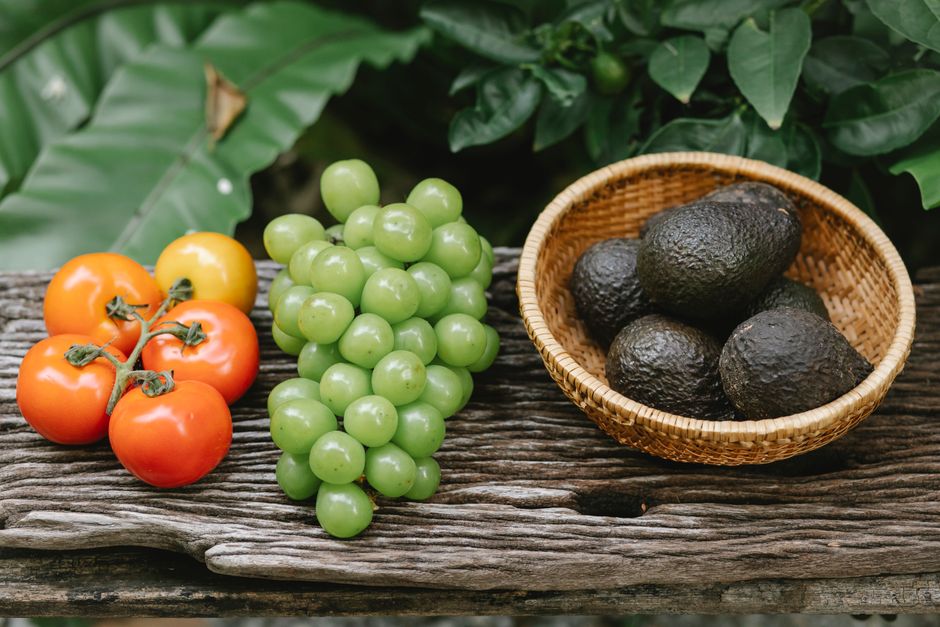 Appetite, Hunger And Cravings: A Beginner's Guide
