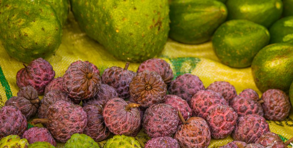 Building a Daily Routine Around Living A Healthy Lifestyle