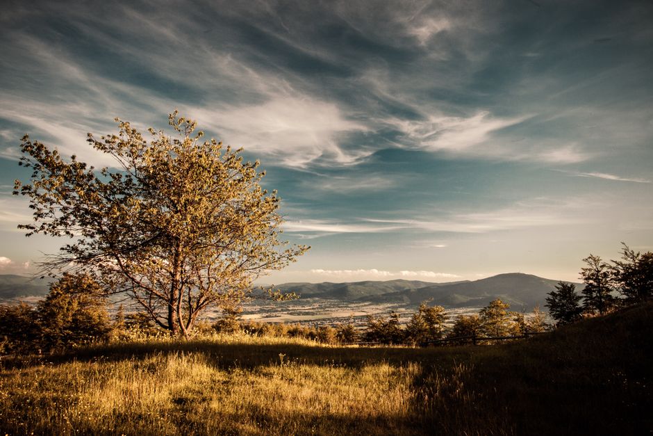 Building a Daily Routine Around The Social Side Of Well-Being