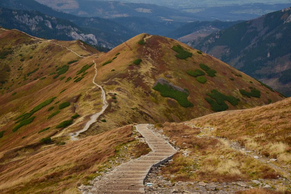 Caring For Your Overall Health: Where to Start — Part 2