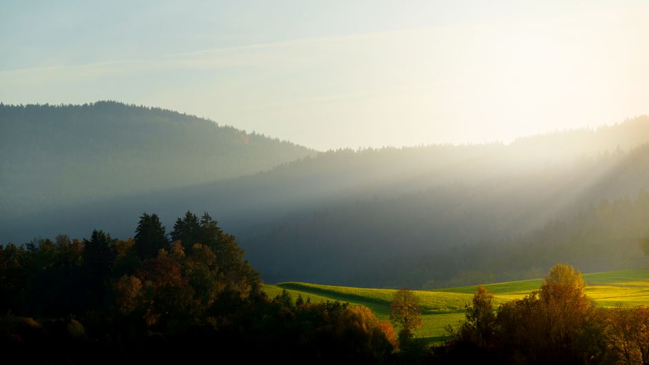 Getting Started With Stress: Signal, Response And Recovery