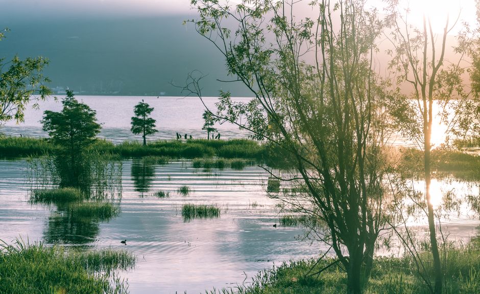 Getting Started With The Social Side Of Well-Being — Part 2