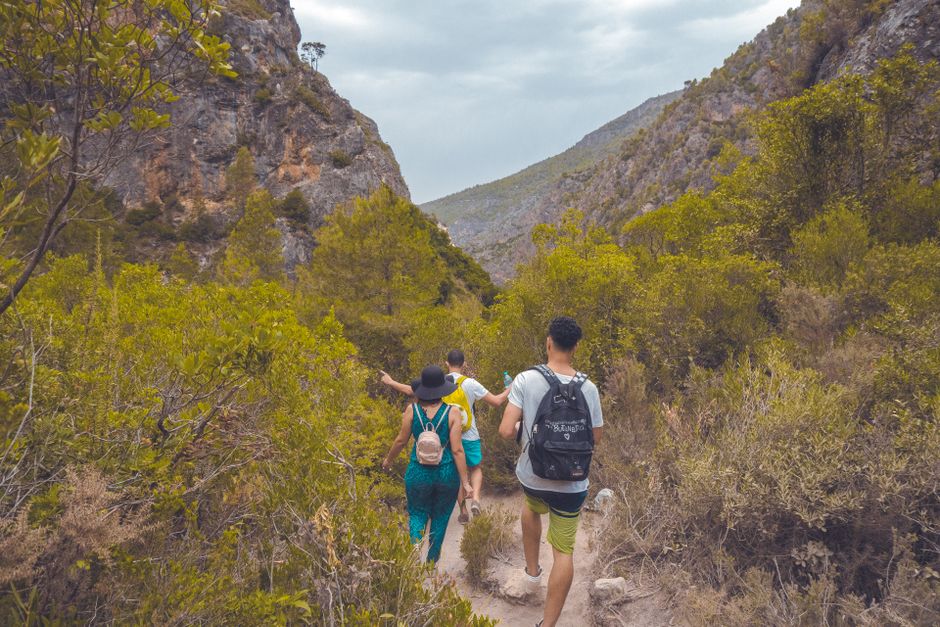Getting Started With The Value Of Prevention