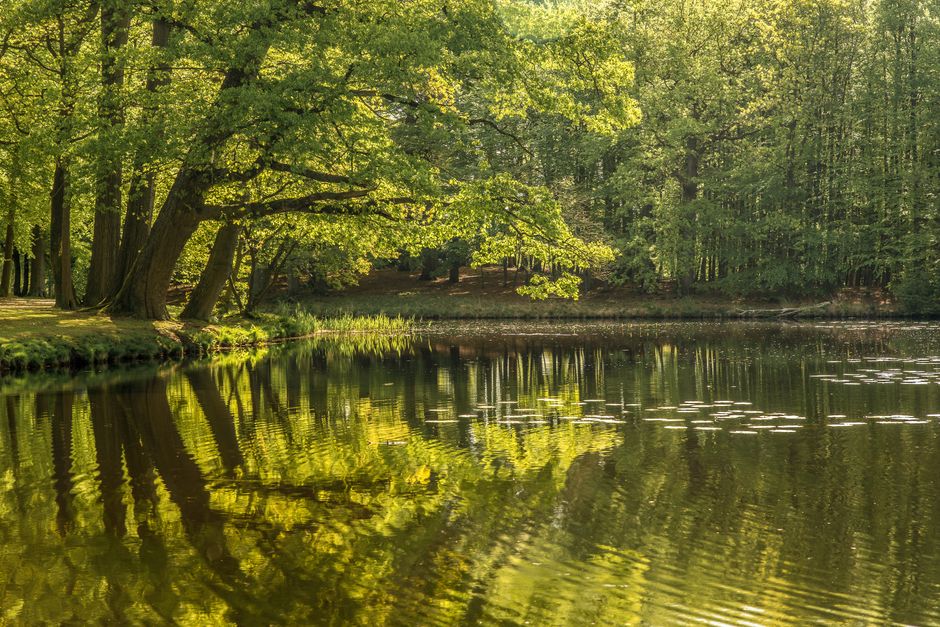 Health As A Daily Practice: Sorting Fact From Fiction