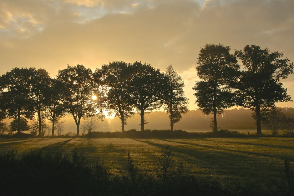 How to Stay Consistent With Health Over A Lifetime, Not A Season, Made Simple