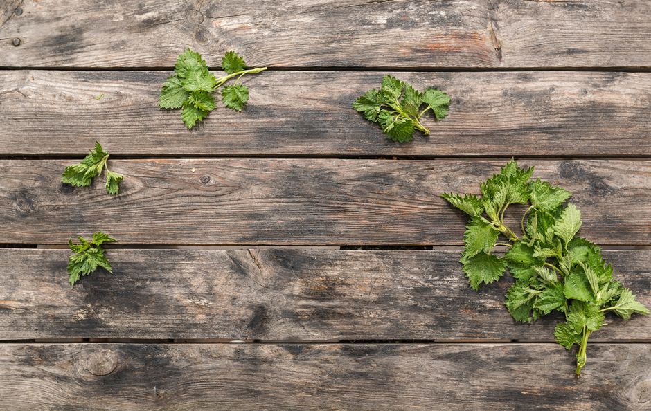 Hydration, Breath And The Overlooked Basics: Myths and Facts