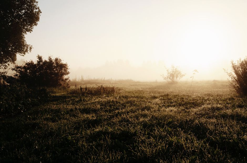 Keeping Tracking, Measuring And When To Stop Simple, on a Normal Week