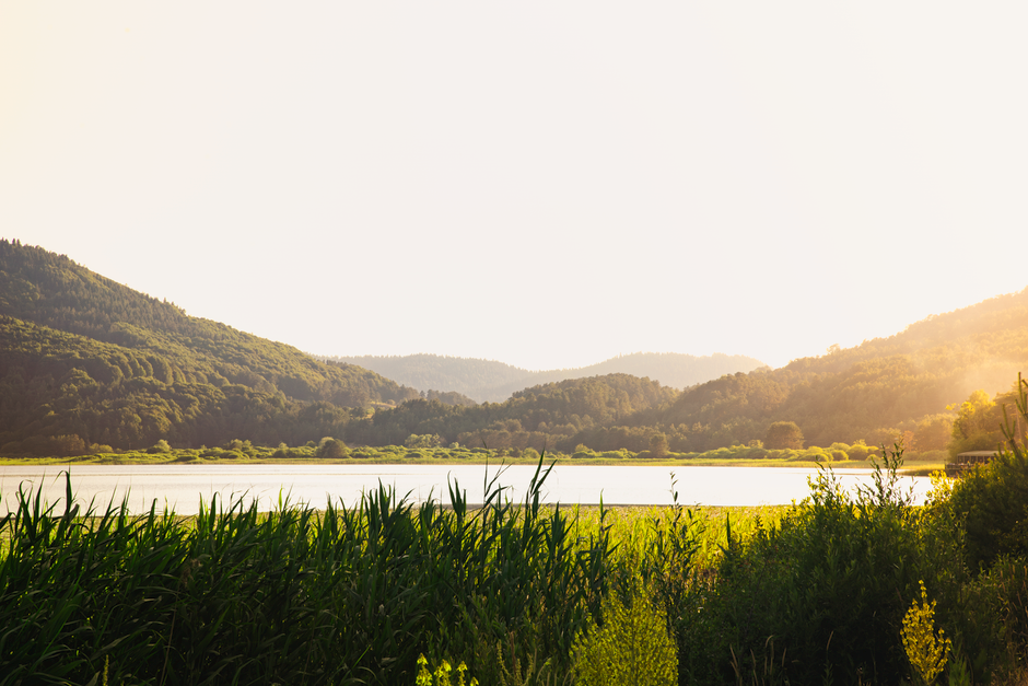 Loneliness As A Health Factor: One Habit at a Time
