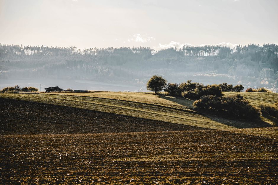 Mental Health Is Health: Common Mistakes to Avoid