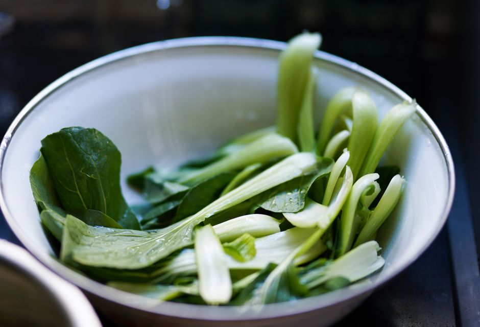 Probiotics In Plain Language: The Honest Version