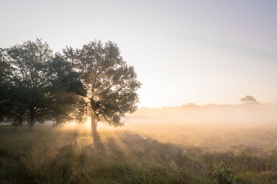 Room for Habits: How They Actually Form in a Full Day, Without the Hype