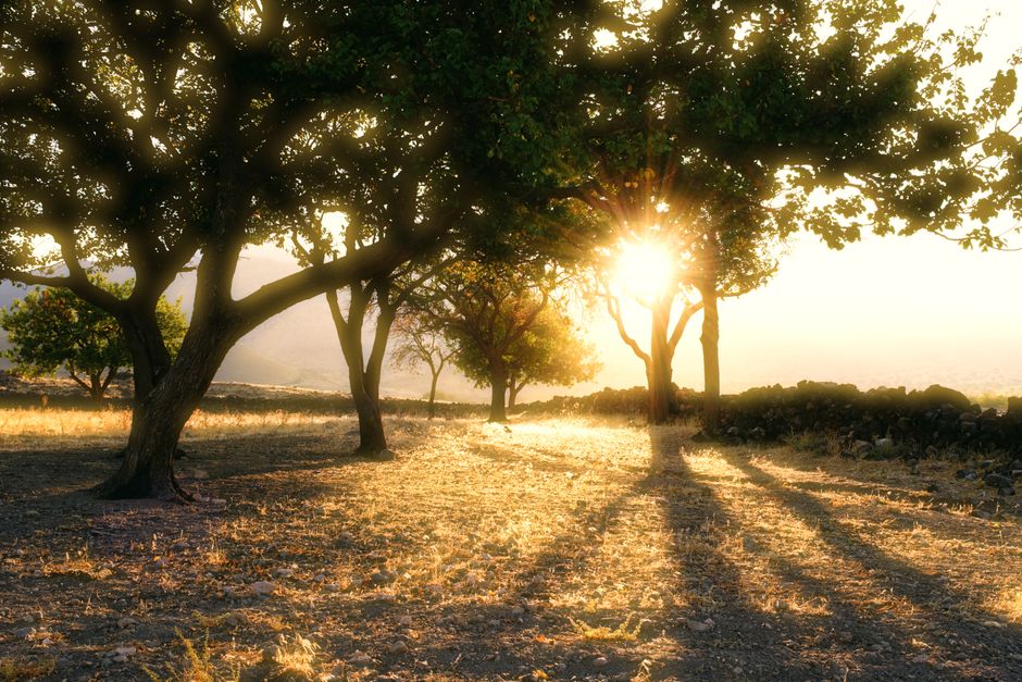 Small Lifestyle Changes That Matter: What Not to Do