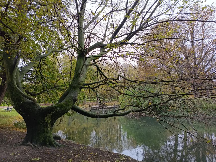 The Importance Of Personal Well-Being as a Daily Habit