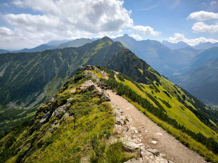The Ordinary Virtues Of Walking in Your 40s, 50s and Beyond