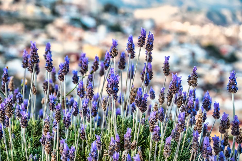 The Quiet Importance Of Rest: A Simple, Practical Guide