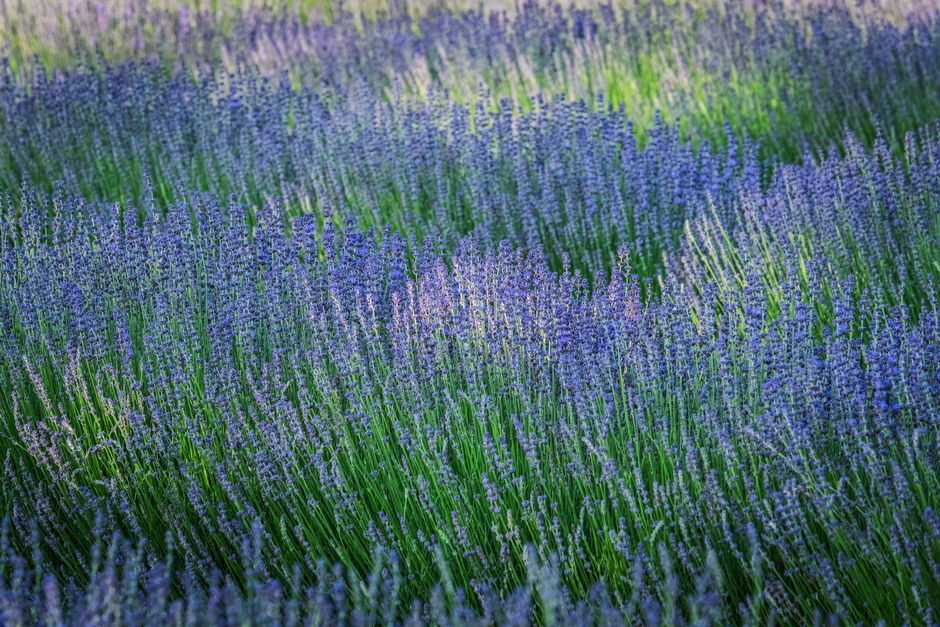 The Quiet Importance Of Rest: A Time-Friendly Approach