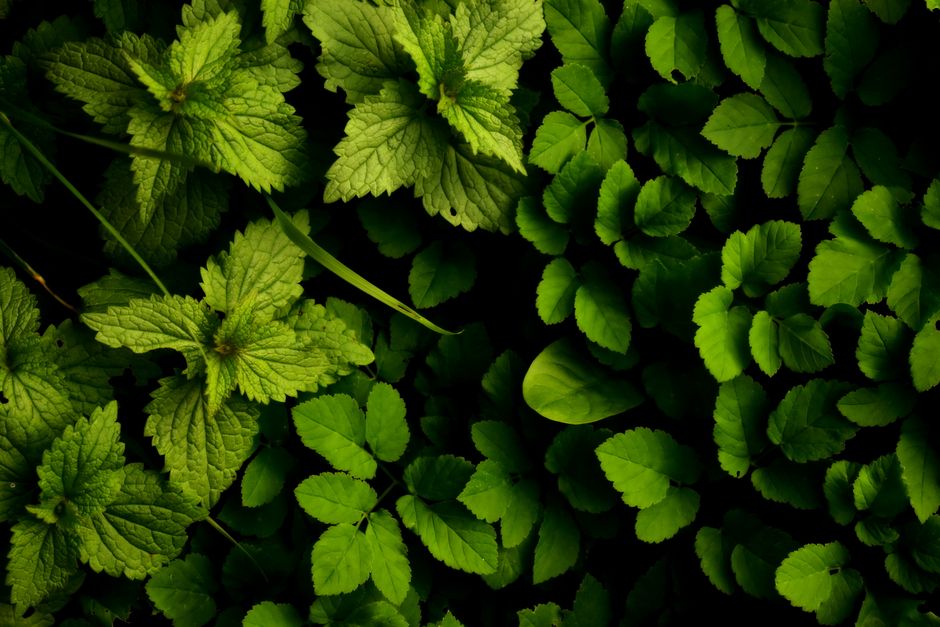 The Value Of Prevention: Making It Part of Your Day — Part 2