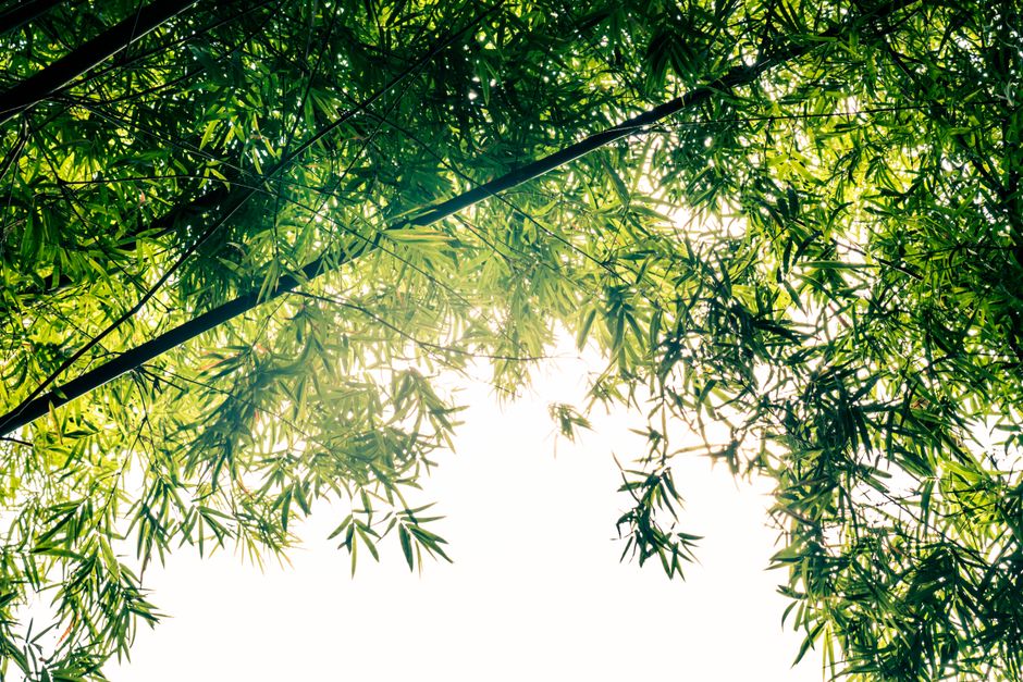 The Value Of Prevention: Making It Part of Your Day