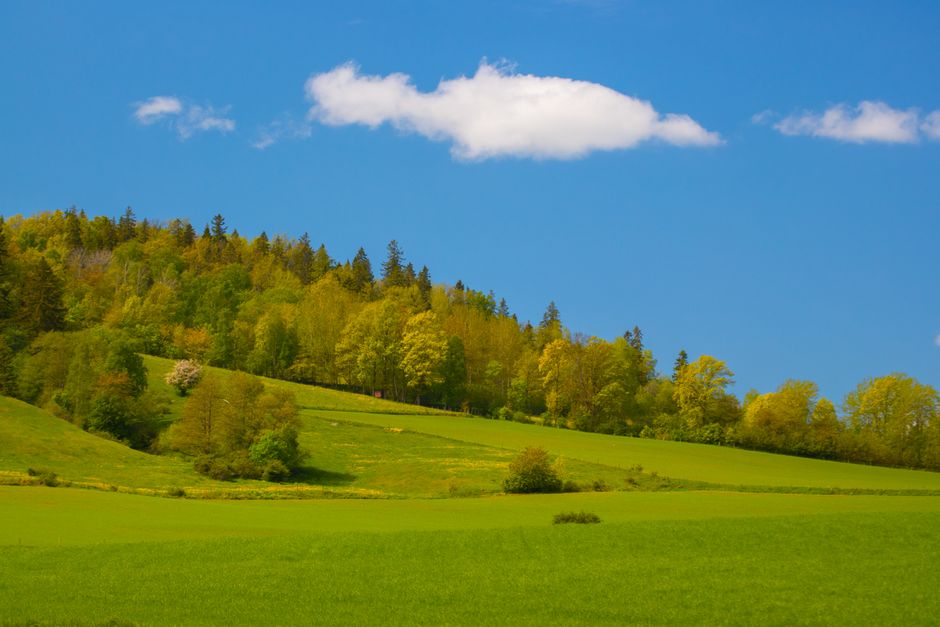 How to Uncover the Hidden Bottleneck Draining Your Mental Energy