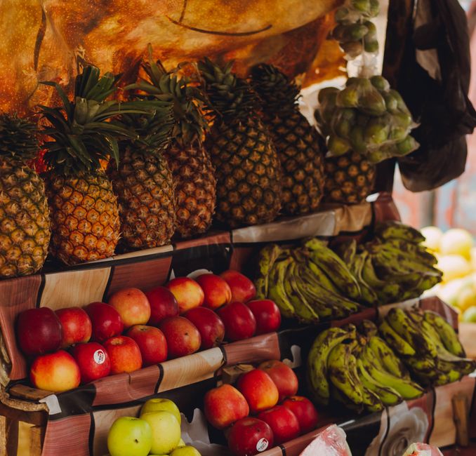 Wellness For Everyday Life: Where to Start
