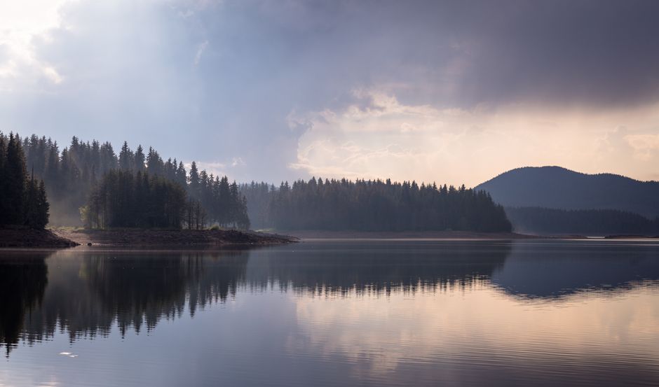 Wellness Without Perfectionism in Your 40s, 50s and Beyond — Part 2