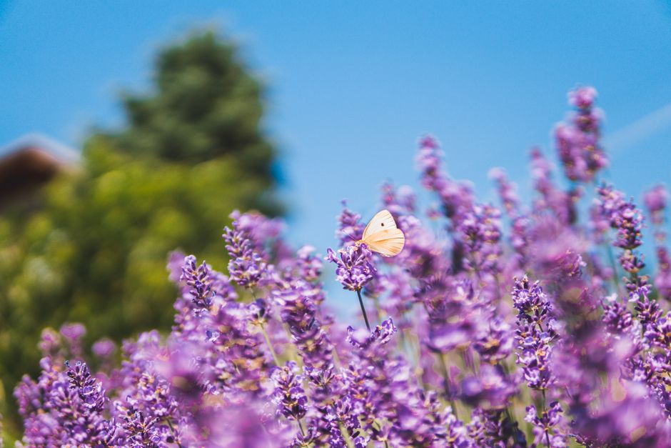 What We Learn From Our Own Patterns: Making It Part of Your Day