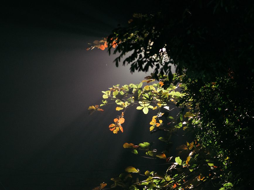 Where to Begin With Health Over A Lifetime, Not A Season, Day by Day